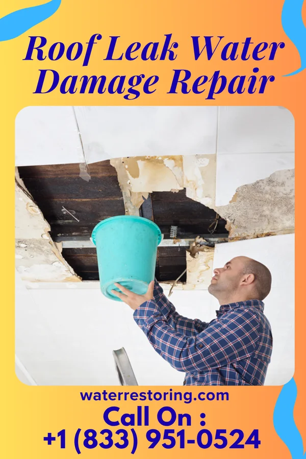 Roof Leak Water Damage Repair in Liberty, IN