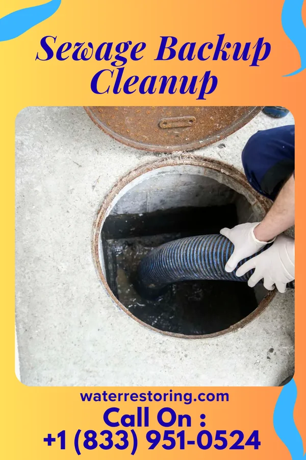 Sewage Backup Cleanup in Liberty, IN