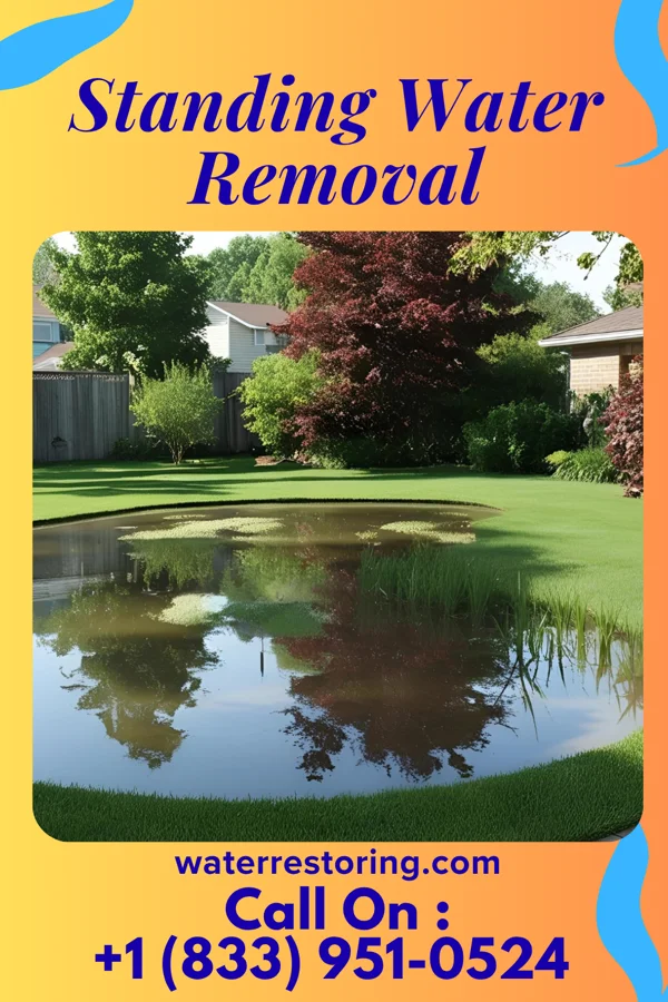 Standing Water Removal in Liberty, IN